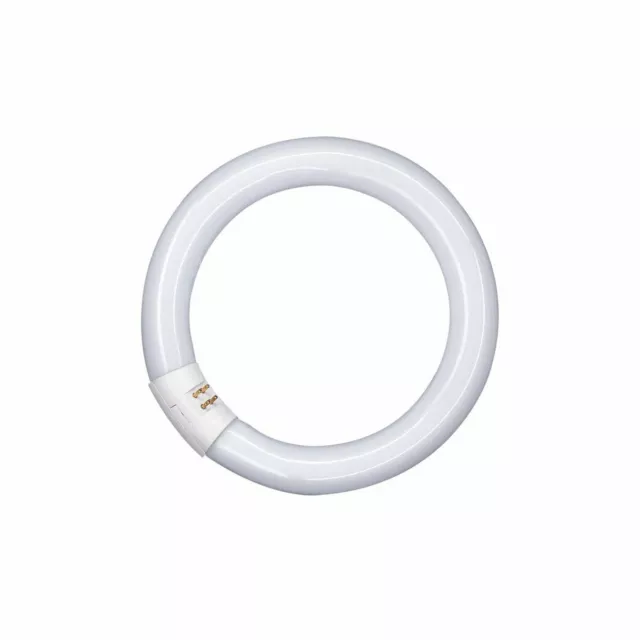 Osram Fluorescent Lumilux C - T9, 865 Lumière Du Jour - 40W - Tube Lumière Lampe