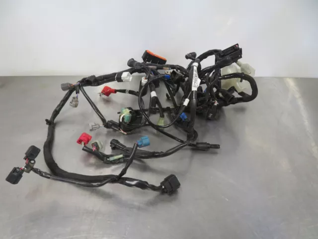 Eb903 2020 Kawasaki Z650 Abs Main Wiring Harness