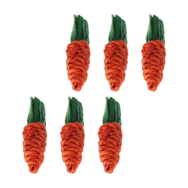 Hamster Kauen Spielzeug Molaren Karotte: 6Pcs Kaninchen Ratten Chinchillas