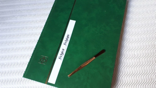 BRIEFMARKEN "BELGIEN", kleine gestempelte Sammlung auf 16 Albumseiten