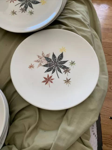 Peter Terris for Shenango China Calico Leaves 9¾" Dinner Plate MCM  Replacement