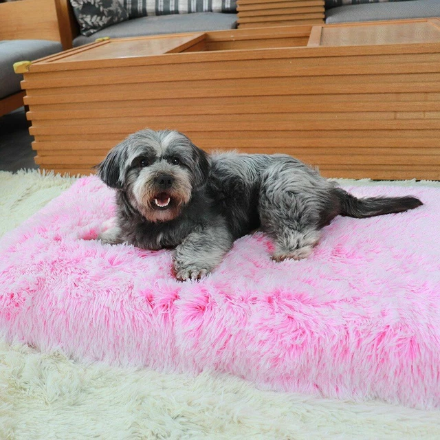 Super Soft Memory Foam Dog Beds Comfortable Plush Sofa Bed For Pet Sleeping Tool 3