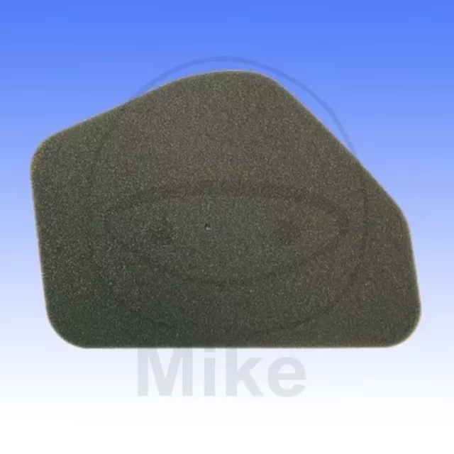 Luftfilter ATHENA Für Kymco 50 Dj 2004-2006