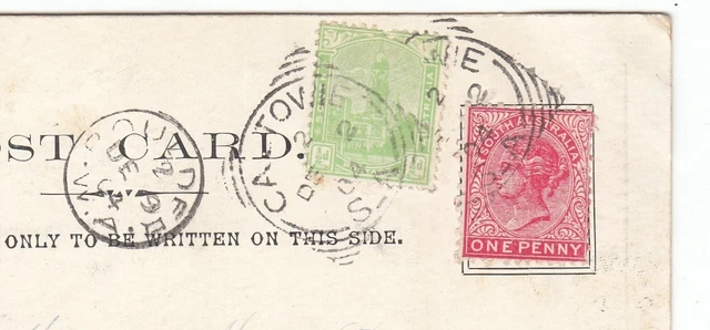 Adelaide GPO AUSTRALIA OLD POSTCARD Caltowie to Boulder Nice usage 1904