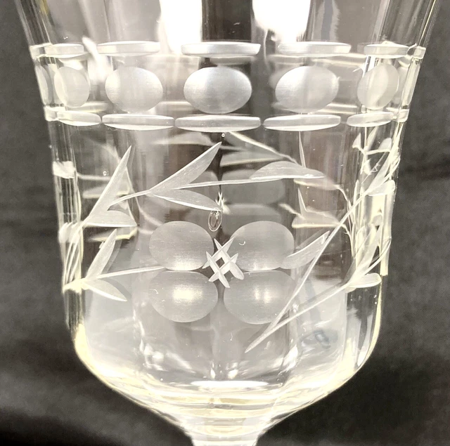 Vtg Optic Glass Etch Berry Dots Dash Leaf Wine Water Goblet 7 3/4" Tall RARE EX