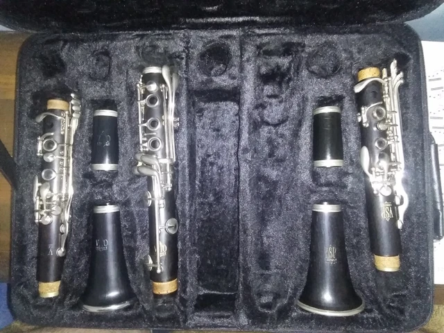 Leblanc VSP / Made in France Vito wood Bb clarinet combo in nice double case