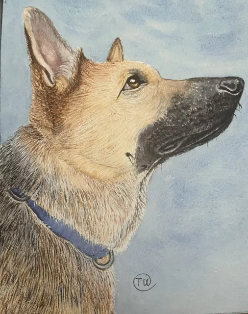 Original Watercolor Painting GERMAN SHEPHERD Dog  Wall Art  Not A Print