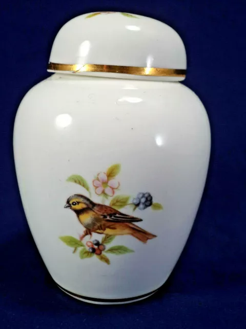 Miniatur Porzellan Urne & Deckel Gelbhammer Vögel Brombeeren 'Woodland China Derby' 3