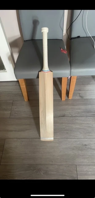 cricket bat