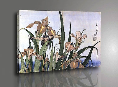 🌼 Katsushika Hokusai Fiori Iris Quadro Stampa su Tela Cotone Vernice Pennellate