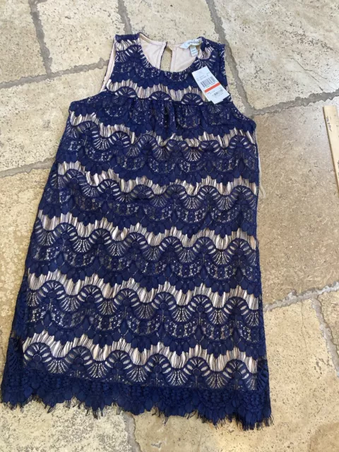 Speechless Dress Womens Size XS NWT Blue Lace Taupe Lined Mini Shift Casual