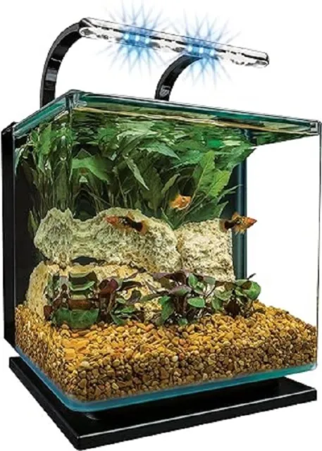 SHIP USA  3 Gallons Contour Glass Aquarium Kit with Rail Lightweight 8 Pound NEW