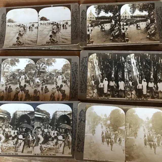 6 RARE GEORGE ROSE Stereoview Antique Photo  Colombo Ceylon