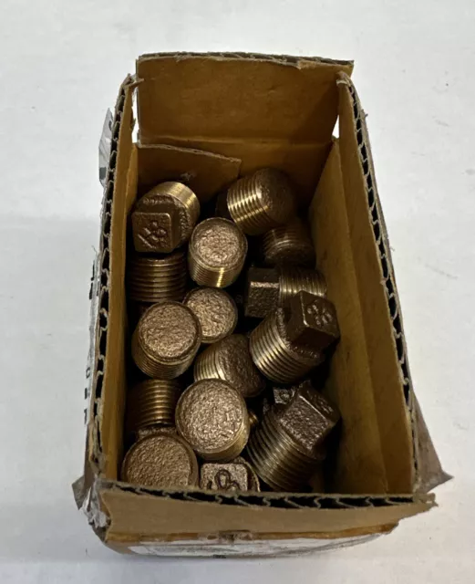 Square Head Plug Brass 3/8-In MPT Qty 25