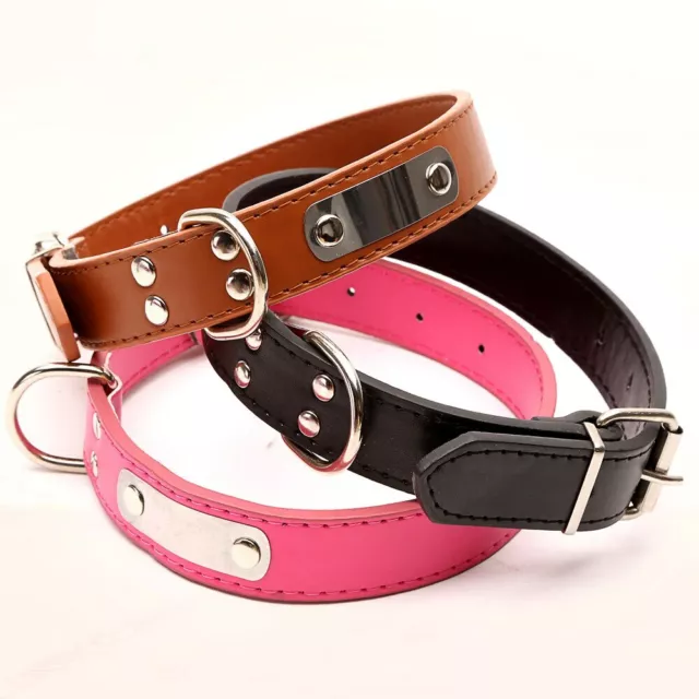 Collars Collier De Chat Pour Chien Collier Ajustable Sécurité En Laisse Durable