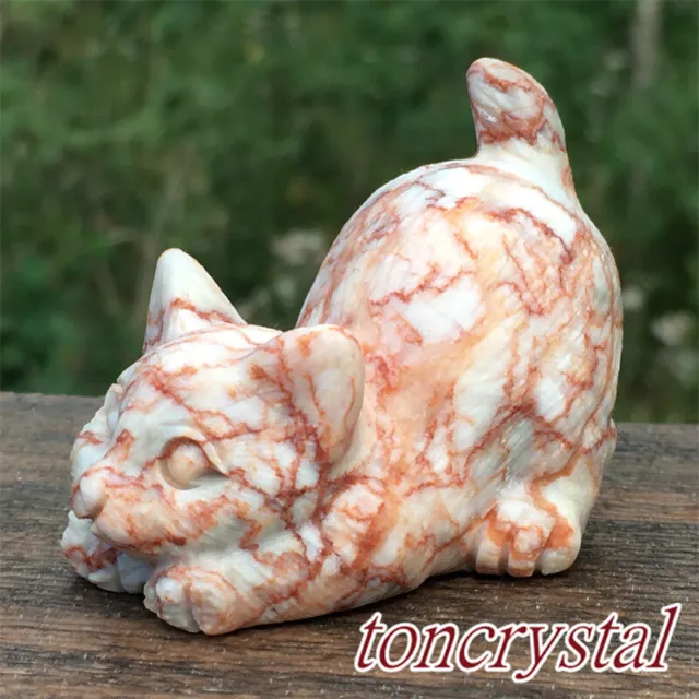 2" Natural Red Network Quartz Hand Carved Cat Crystal Skull Reiki Healing 1pc