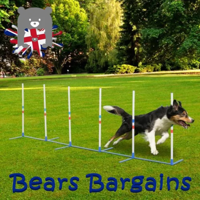 Set pali tessitura cane agilità starter kit per animali domestici set allenamento all'aperto