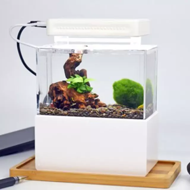 Mini Plastic Fish Tank Portable Desktop Aquaponic Aquarium Betta Fish Bowl With