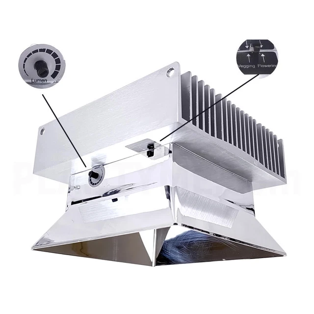 bambus dngen wann ProviPlant Bambus-Dnger: Stickstoffbooster fr Bambus & Grser