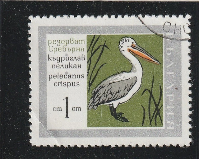L5858 BULGARIE TIMBRE  N° Y&T 1627 de 1968 " Pélican Frisé " Oblitéré