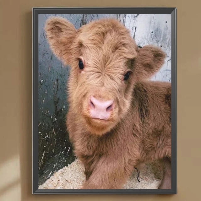 5D DIY Full Round Drill Diamond Painting Highland Calf Baby Home Decor 30x40cm