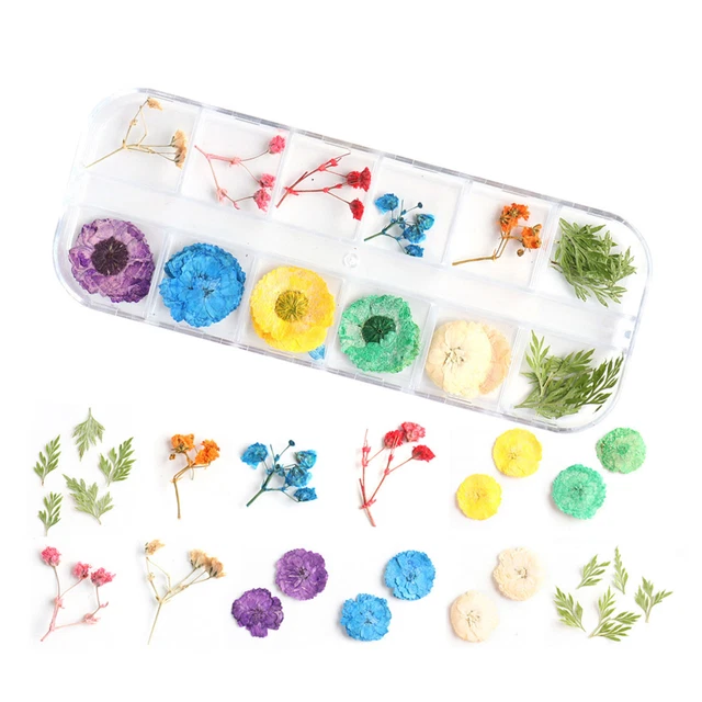 Aplique de uñas colorido exquisito único arte en uñas flores secas regalo