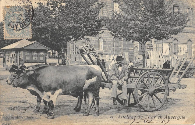 Cpa 63 Auvergne Attelage De Char En Auvergne / Agriculture