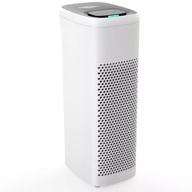 AIR PURIFIER TRUE HEPA Filter Odour Smoke Home Air Cleaner For Room Up