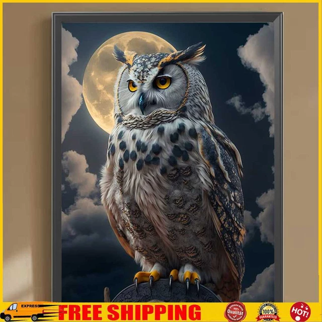 5D Hágalo usted mismo Taladro Redondo Completo Diamante Pintura Búho Kit Decoración del Hogar Arte Artesanía