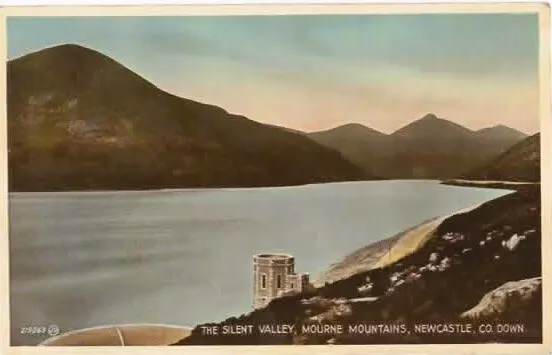 The Silent Valley,Mourne Mountains,Newcastle Co. Down - Postcard