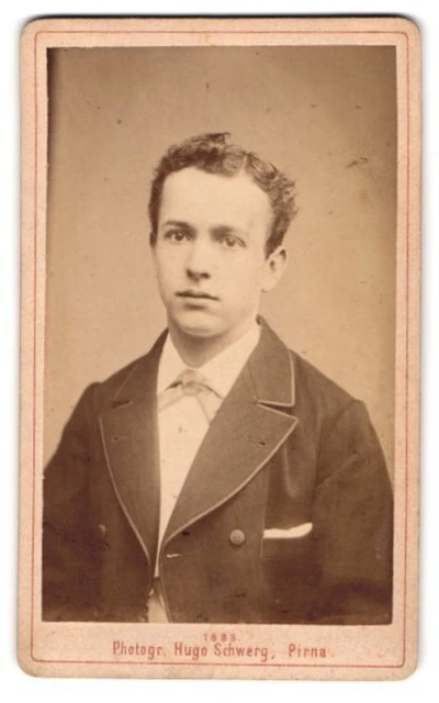 Fotografie Hugo Schwerg, Pirna, Junger Mann mit gelocktem Haar