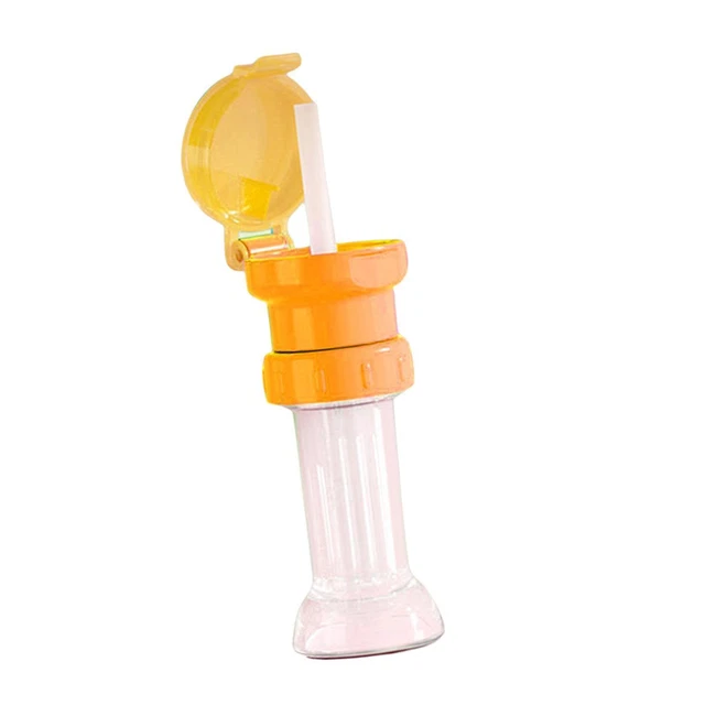 Lot De 2 Bouchons De Paille Pour Bouteille D'eau - Anti