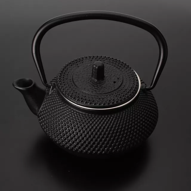 Japanese Style Cast Iron Kettle Tetsubin 300ML Teapot Infuser w/ Strainer Filter 3