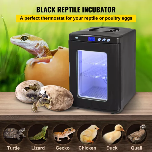 VEVOR Incubadora de Huevos 25L Automática para Reptiles Control de Temperatura 2