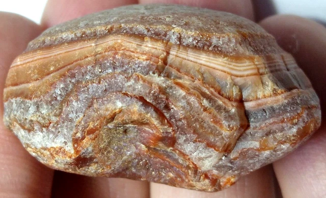 Lake Superior Agate 0.86 oz 'AMAZING ZINGER 1' Rough Minnesota Gem - upnorth