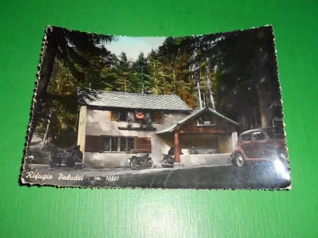 Cartolina Rifugio Paludei ( Trento ) - Veduta 1959