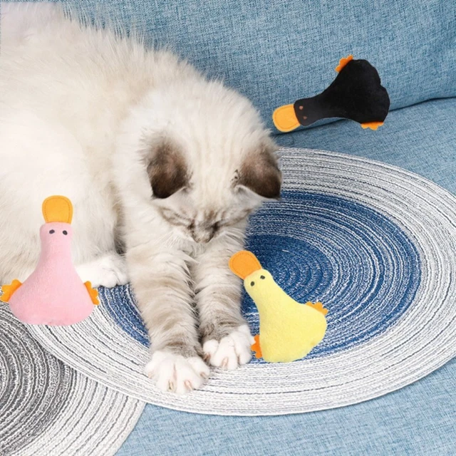 Peluche gatto erba gatta giocattoli erba gatta molare giocattolo animale domestico giocattolo gatto giocattolo da masticare