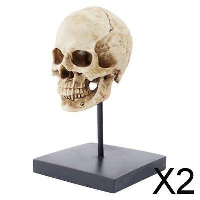 2X Statua di scultura in resina modello testa di scheletro di Halloween per