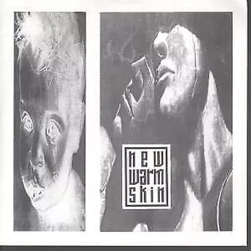New Warm Skin Breaking Down 7" vinyl UK Recess 1991 B/w hymn pic sleeve POS001