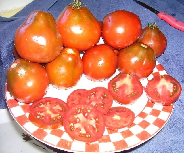 100 RED PEAR TOMATO Lycopersicon Heirloom Indeterminate Fruit Vegetable Seeds