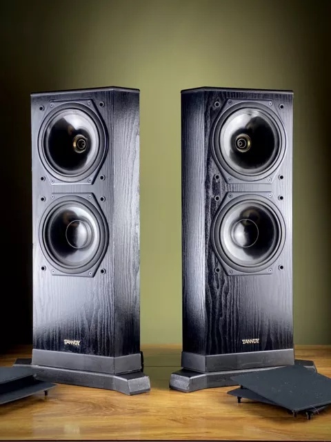 Tannoy floor standing best sale speakers