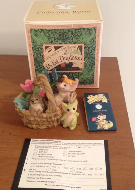 Pocket Dragons Gardening Basket NIB 2000/2001