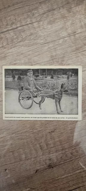 Carte Postale Ancienne Attelage De Chiens Je Porte Bonheur