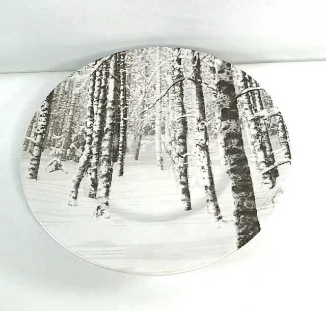 Pier 1 Imports Snow Forest Winter Trees 8.75" Porcelain Salad Plate