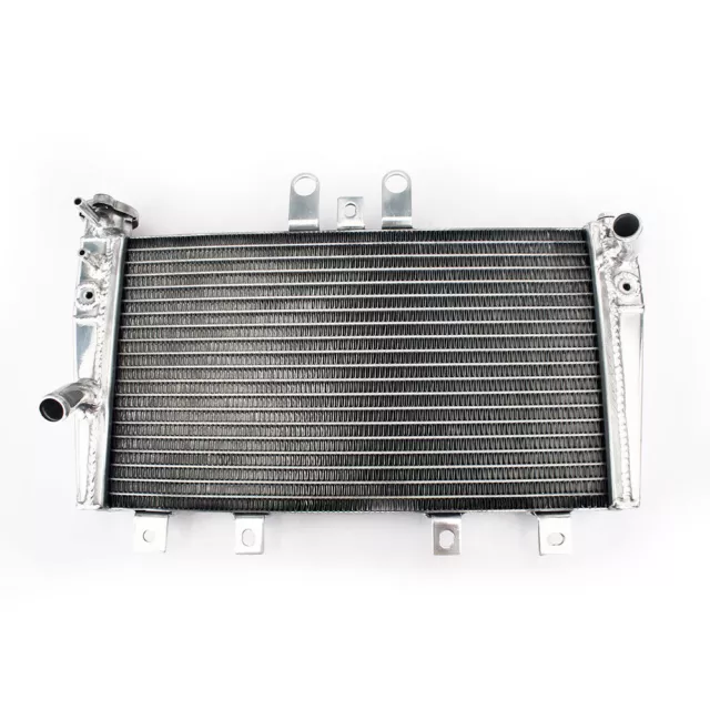 Aluminum Radiateur de refroidissement pour TRIUMPH 2005 à 2010 Speed Triple 1050