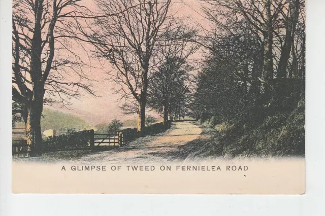 Glimpse of River Tweed on Fernielea Road nr Selkirk.