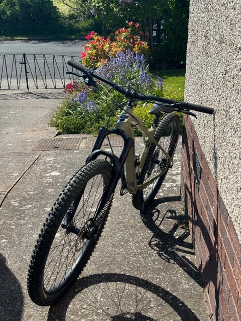 GT ZASKAR LT Al Expert gloss moss green/British racing green