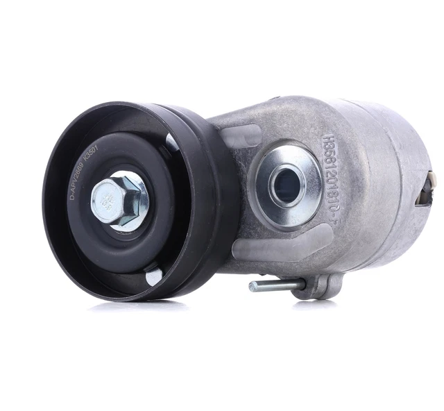 DAYCO Tendeur de courroie courroie trapézoïdale à nervures APV2669 0,95kg