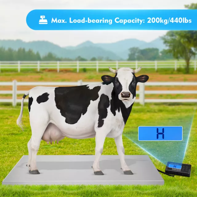 440LB Digital Vet Scale Weighing Scale Pet Cat Dog Sheep Hog Livestock Goat USA