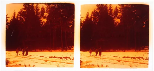 FRANCE Paysage enneigé Photo Stereo Plaque de verre V26L20n